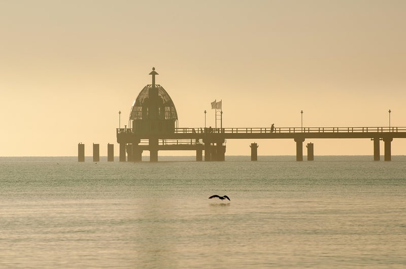 Coastal Walks