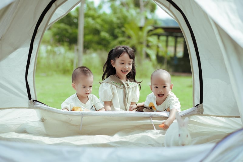 Camping Tent under the Stars